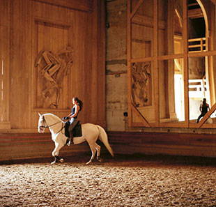 Visite de monuments DECOUVERTE DU PATRIMOINE ACADEMIE EQUESTRE DE VERSAILLES VERSAILLES Visite de monuments DECOUVERTE DU PATRIMOINE ACADEMIE EQUESTRE DE VERSAILLES VERSAILLES