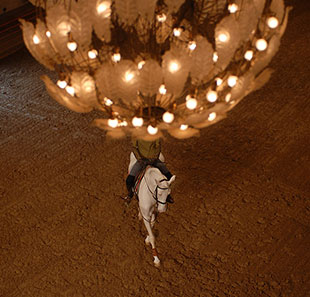Spectacle équestre LA MATINALE DES ECUYERS VERSAILLES Spectacle équestre LA MATINALE DES ECUYERS VERSAILLES
