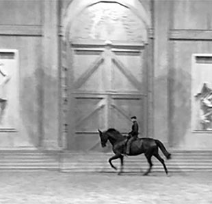 Spectacle équestre AU SAUT DU LIT AVEC BARTABAS VERSAILLES Spectacle équestre AU SAUT DU LIT AVEC BARTABAS VERSAILLES