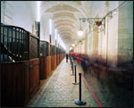 GRDE ECURIE DU CHT DE VERSAILLES GRDE ECURIE DU CHT DE VERSAILLES